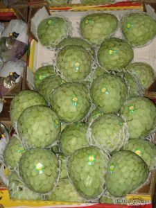 Chirimoyas de Almuñécar