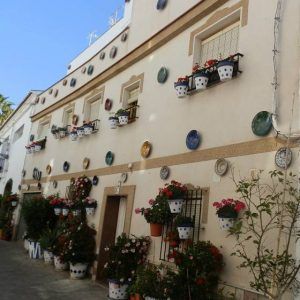 Primer premio en el I Concurso Municipal de Embellecimiento Fachadas, Patios y Rincones