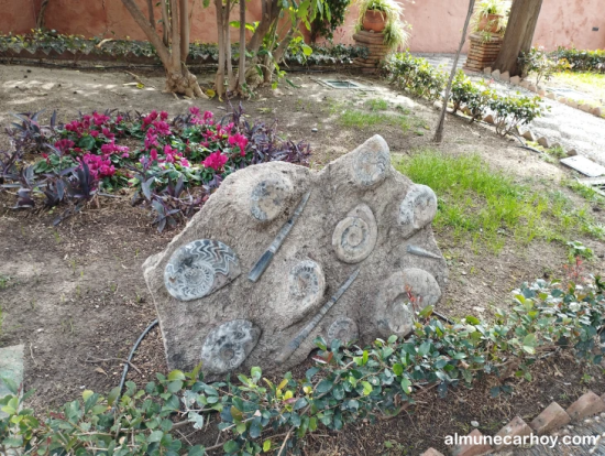 Palacete de La Najarra en Almuñécar 13 Fósiles incrustados en roca en el jardín del Palacete de La Najarra en Almuñécar
