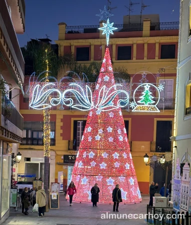 Fotos de la Navidad en Almuñécar 5 Arbol de Navidad de la Plaza del Ayuntamiento de Almuñécar