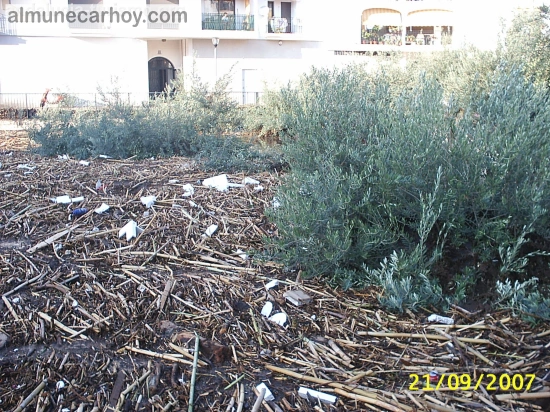 Zona ajardinada junto al acueducto romano de Almuñécar cubierta por cañas, barro y restos arrastrados por la riada del 21 de septiembre de 2007.