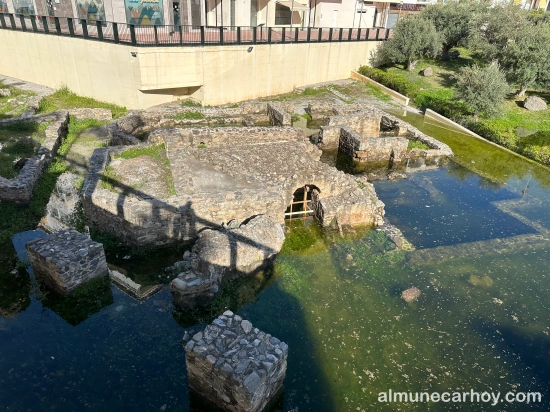 Restos de las termas romanas de La Carrera parcialmente cubiertos por agua estancada, con muros de piedra emergiendo y zona ajardinada con olivos al fondo en Almuñécar.