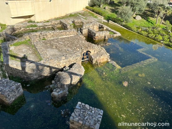 Texto alternativo (alt):
Restos de las termas romanas de La Carrera parcialmente cubiertos por agua estancada, con muros de piedra visibles y zona ajardinada con olivos al fondo en Almuñécar.